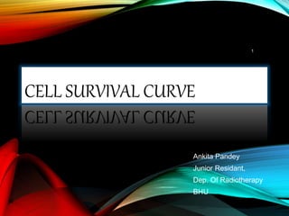 CELL SURVIVAL CURVE
Ankita Pandey
Junior Residant,
Dep. Of Radiotherapy
BHU
1
 