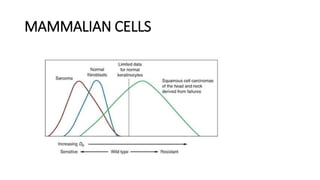 Cell survival curve | PPTX