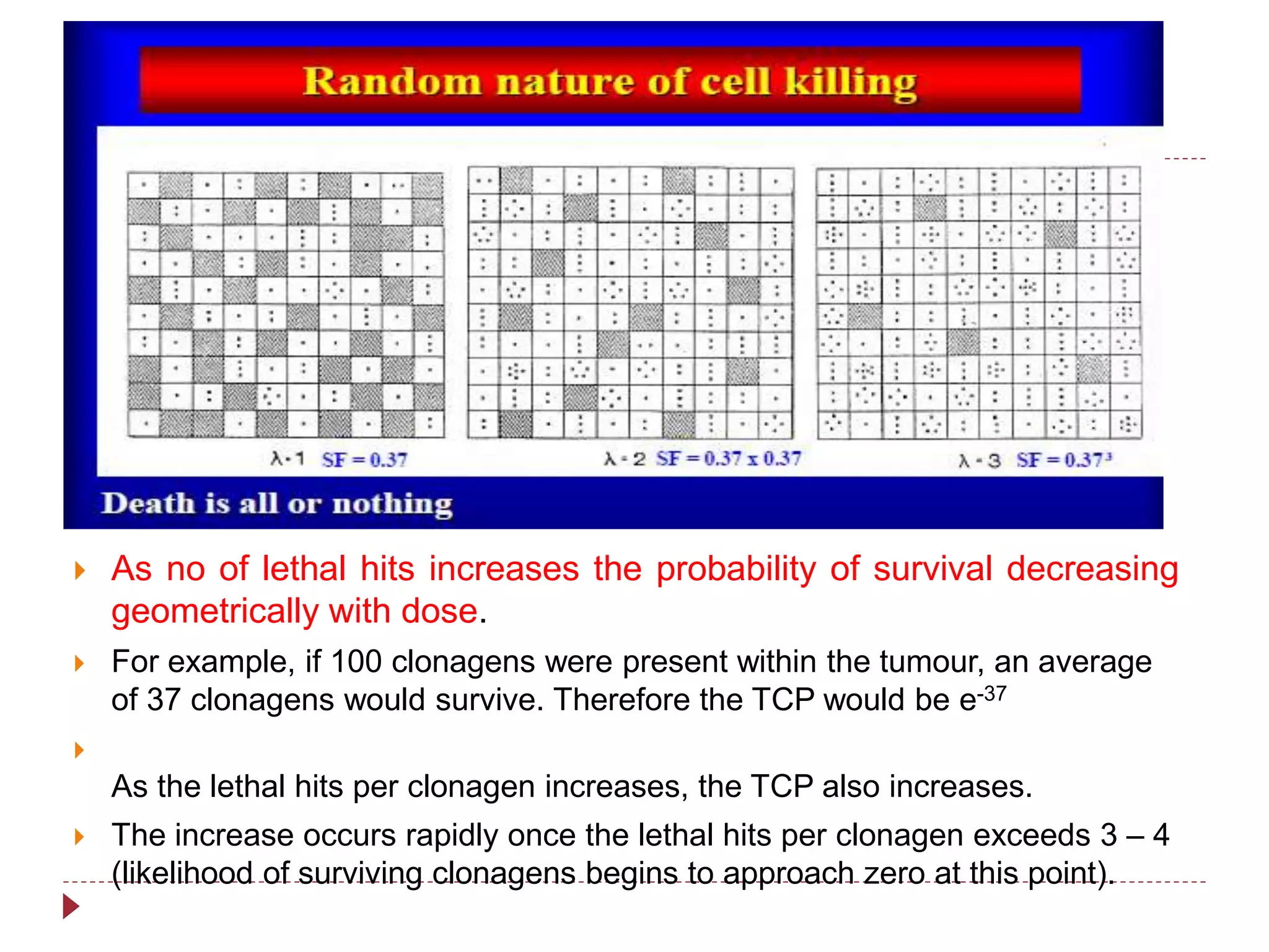  As no of lethal hits increases the probability of survival decreasing
geometrically with dose.
 For example, if 100 clonagens were present within the tumour, an average
of 37 clonagens would survive. Therefore the TCP would be e-37

As the lethal hits per clonagen increases, the TCP also increases.
 The increase occurs rapidly once the lethal hits per clonagen exceeds 3 – 4
(likelihood of surviving clonagens begins to approach zero at this point).
 