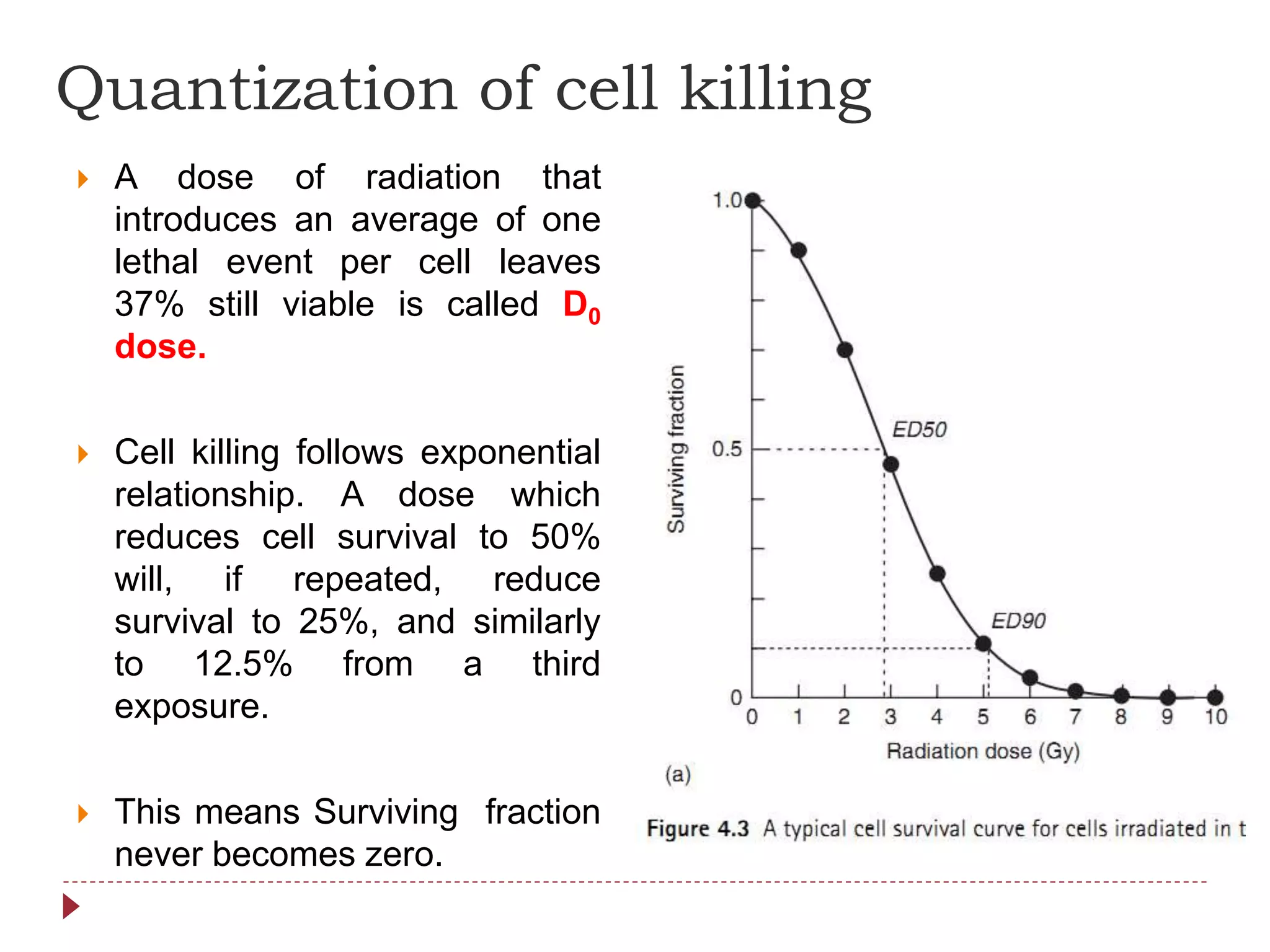 Quantization of cell killing
 A dose of radiation that
introduces an average of one
lethal event per cell leaves
37% still viable is called D0
dose.
 Cell killing follows exponential
relationship. A dose which
reduces cell survival to 50%
will, if repeated, reduce
survival to 25%, and similarly
to 12.5% from a third
exposure.
 This means Surviving fraction
never becomes zero.
 