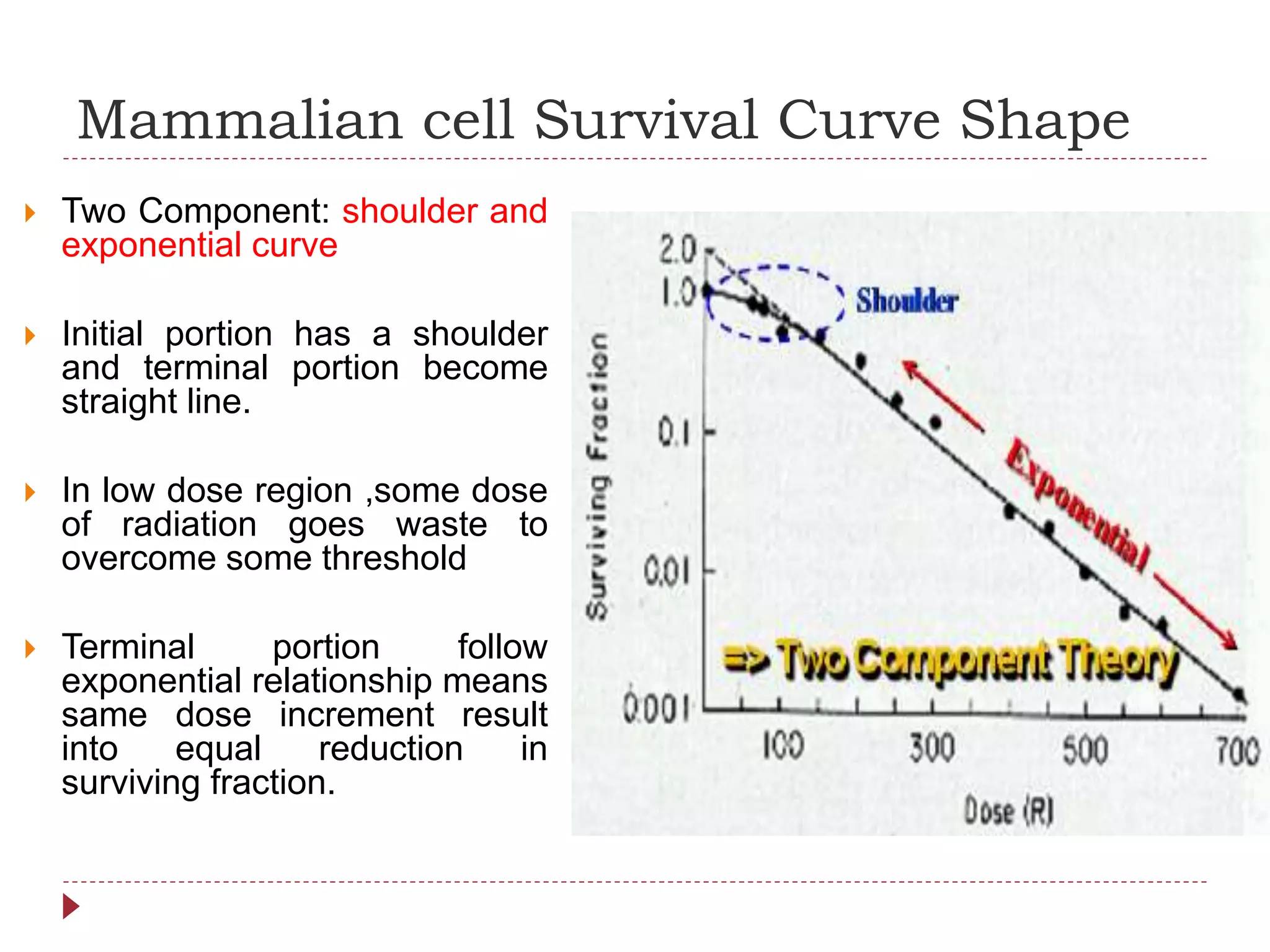 Mammalian cell Survival Curve Shape
 Two Component: shoulder and
exponential curve
 Initial portion has a shoulder
and terminal portion become
straight line.
 In low dose region ,some dose
of radiation goes waste to
overcome some threshold
 Terminal portion follow
exponential relationship means
same dose increment result
into equal reduction in
surviving fraction.
 