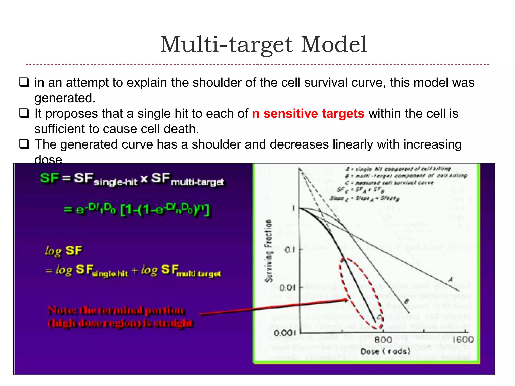 Multi-target Model
 in an attempt to explain the shoulder of the cell survival curve, this model was
generated.
 It proposes that a single hit to each of n sensitive targets within the cell is
sufficient to cause cell death.
 The generated curve has a shoulder and decreases linearly with increasing
dose.
 