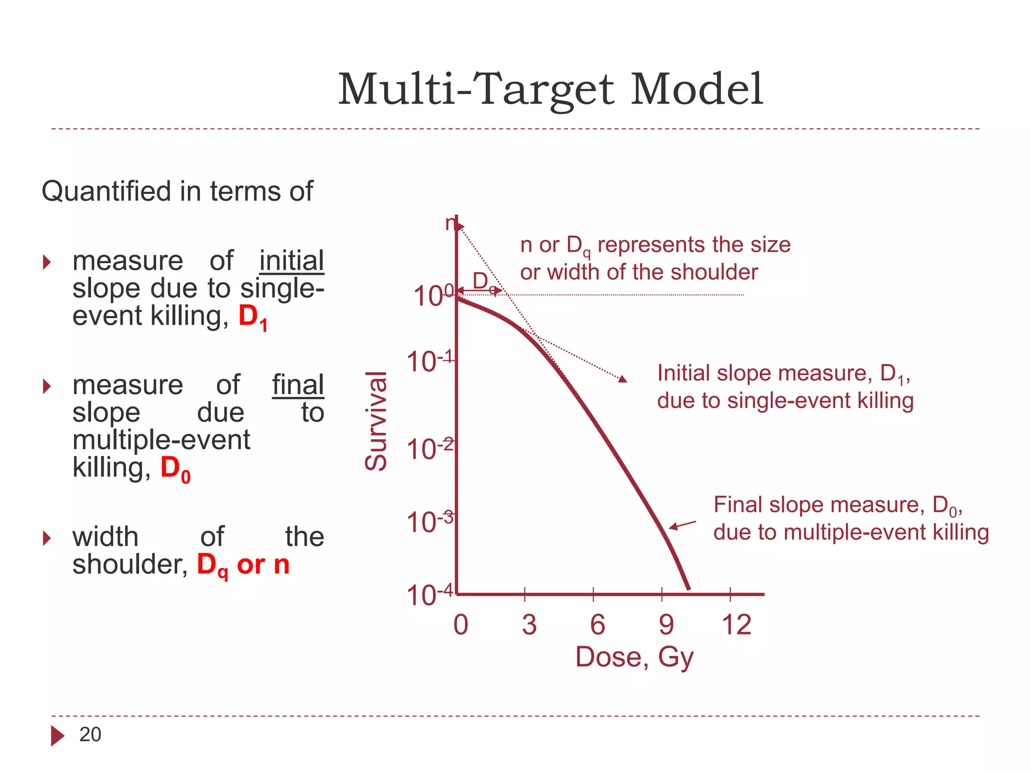 Multi-Target Model
20
Dose, Gy
100
10-1
10-4
0 123 6 9
Survival
10-3
10-2
Initial slope measure, D1,
due to single-event killing
Final slope measure, D0,
due to multiple-event killing
Dq
n
n or Dq represents the size
or width of the shoulder
Quantified in terms of
 measure of initial
slope due to single-
event killing, D1
 measure of final
slope due to
multiple-event
killing, D0
 width of the
shoulder, Dq or n
 
