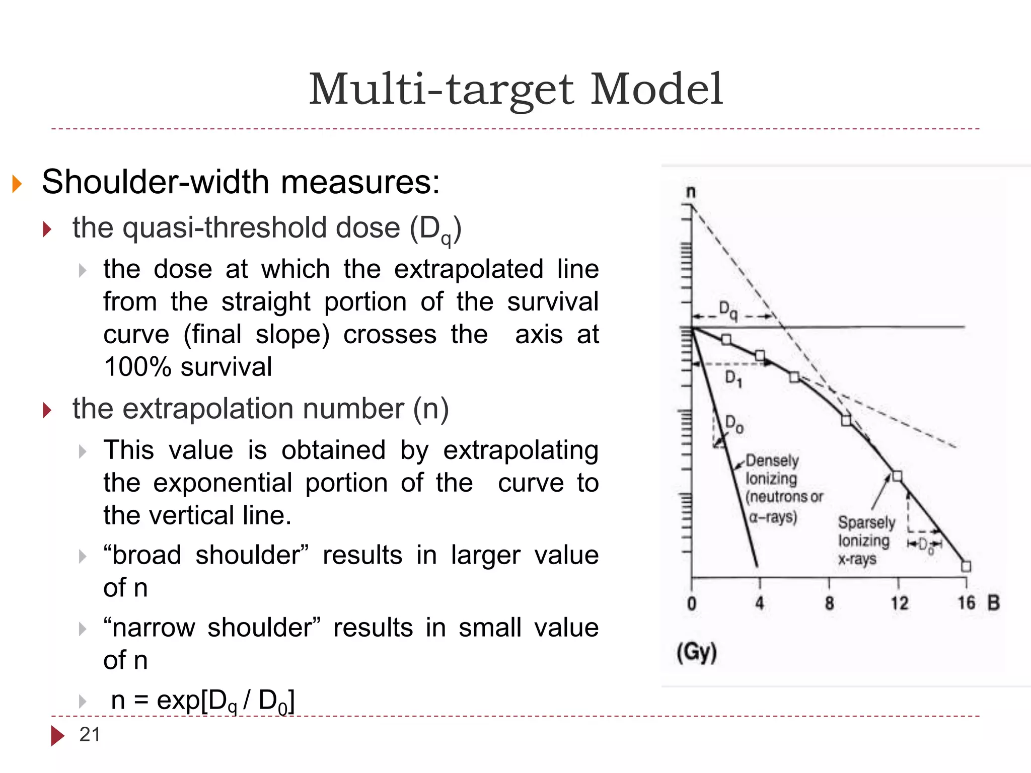 Multi-target Model
21
 Shoulder-width measures:
 the quasi-threshold dose (Dq)
 the dose at which the extrapolated line
from the straight portion of the survival
curve (final slope) crosses the axis at
100% survival
 the extrapolation number (n)
 This value is obtained by extrapolating
the exponential portion of the curve to
the vertical line.
 “broad shoulder” results in larger value
of n
 “narrow shoulder” results in small value
of n
 n = exp[Dq / D0]
 