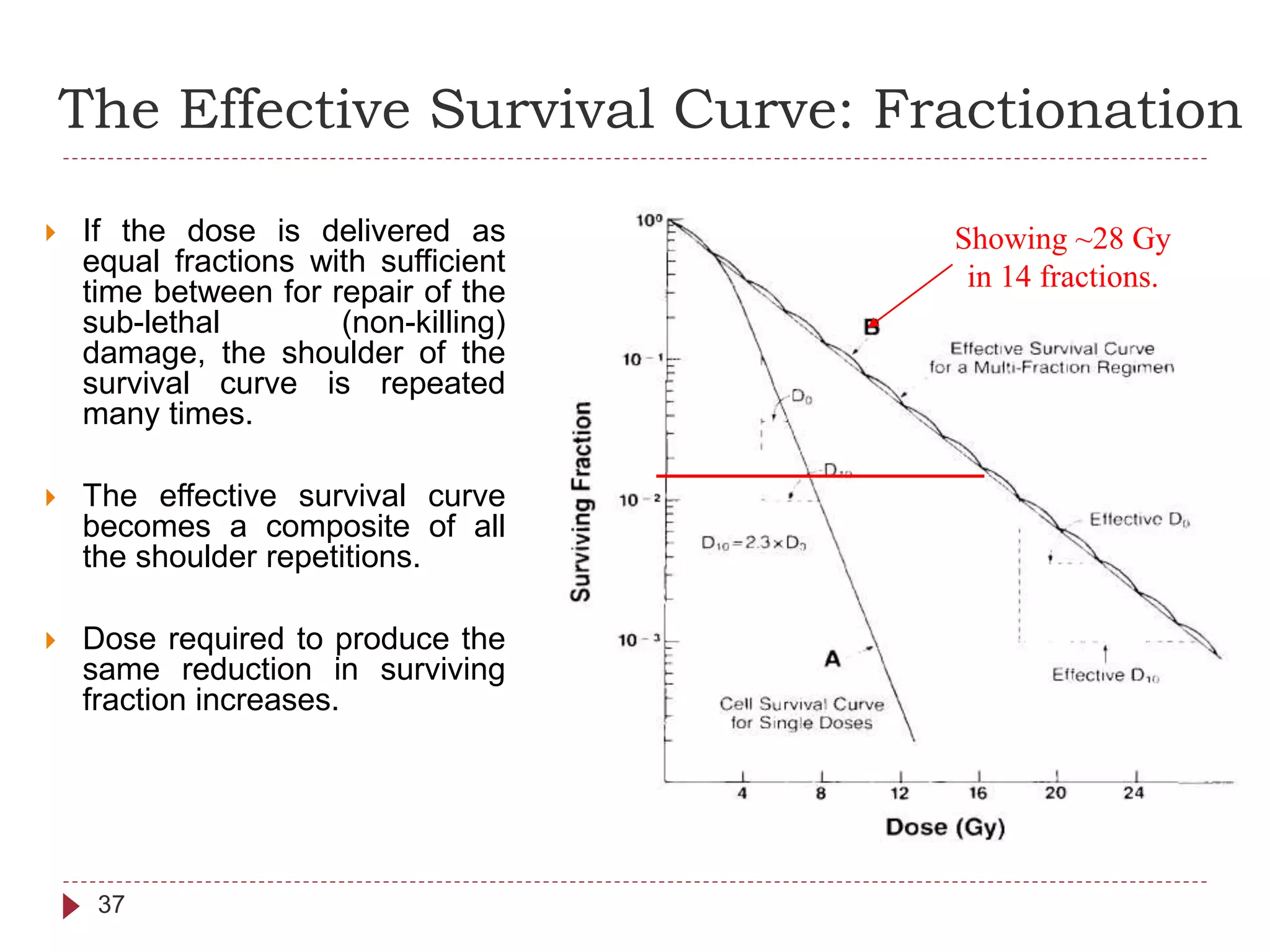 The Effective Survival Curve: Fractionation
37
 If the dose is delivered as
equal fractions with sufficient
time between for repair of the
sub-lethal (non-killing)
damage, the shoulder of the
survival curve is repeated
many times.
 The effective survival curve
becomes a composite of all
the shoulder repetitions.
 Dose required to produce the
same reduction in surviving
fraction increases.
Showing ~28 Gy
in 14 fractions.
 