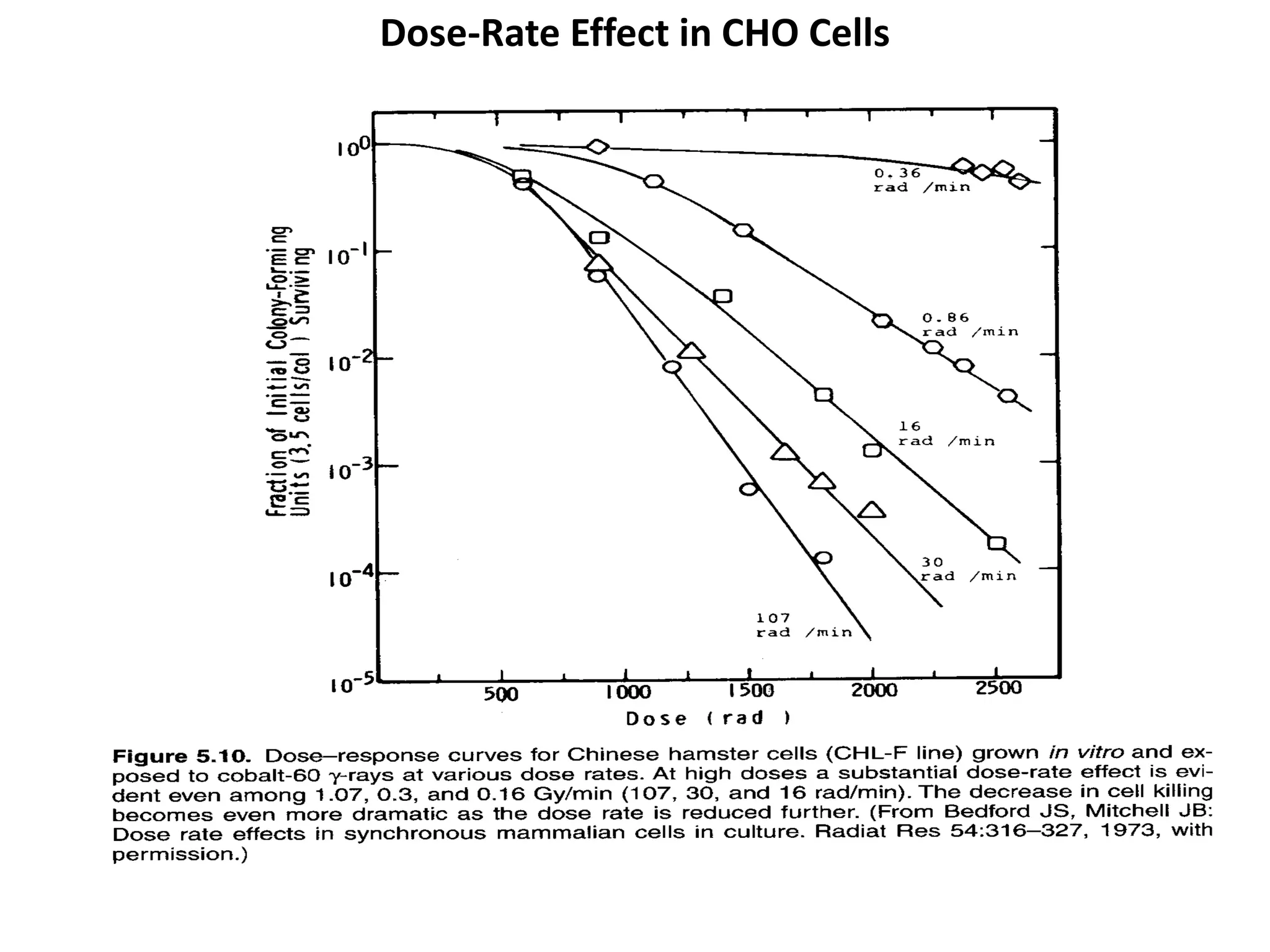 Dose-Rate Effect in CHO Cells
 
