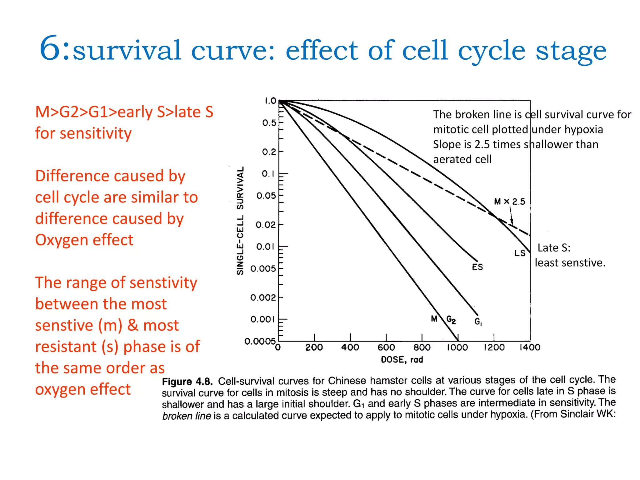 6:survival curve: effect of cell cycle stage
Late S:
least senstive.
M>G2>G1>early S>late S
for sensitivity
Difference caused by
cell cycle are similar to
difference caused by
Oxygen effect
The range of senstivity
between the most
senstive (m) & most
resistant (s) phase is of
the same order as
oxygen effect
The broken line is cell survival curve for
mitotic cell plotted under hypoxia
Slope is 2.5 times shallower than
aerated cell
 