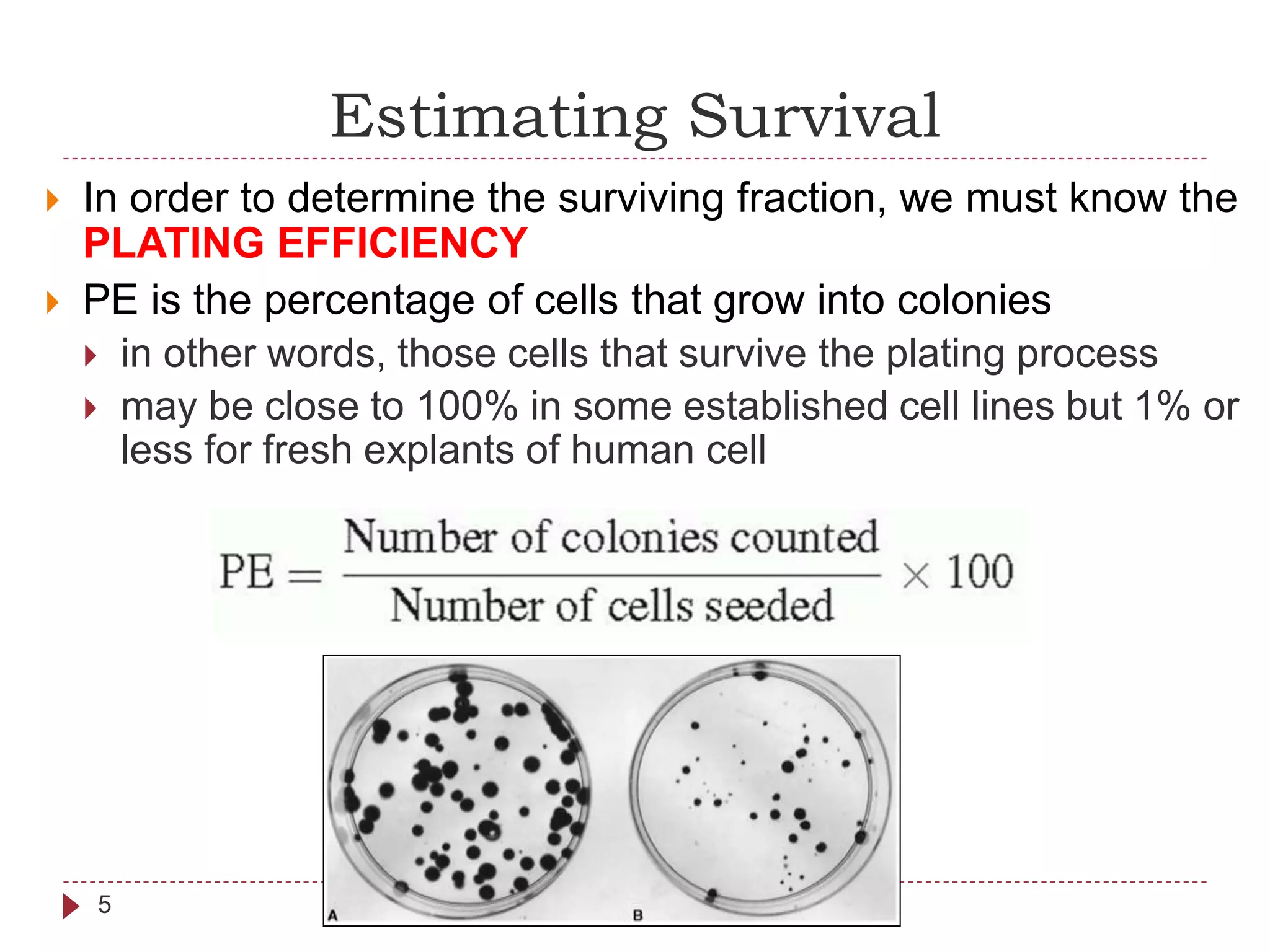 Estimating Survival
5
 In order to determine the surviving fraction, we must know the
PLATING EFFICIENCY
 PE is the percentage of cells that grow into colonies
 in other words, those cells that survive the plating process
 may be close to 100% in some established cell lines but 1% or
less for fresh explants of human cell
 