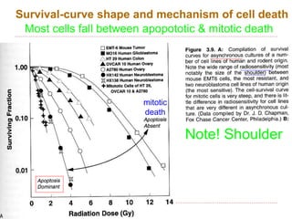 Cell survival curve | PPTX