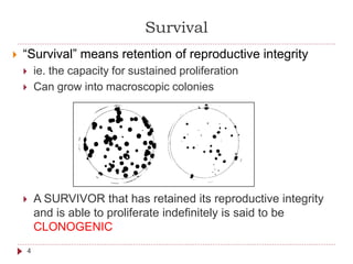Survival
4
 “Survival” means retention of reproductive integrity
 ie. the capacity for sustained proliferation
 Can gro...