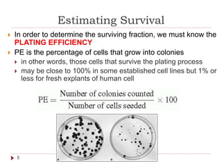 Estimating Survival
5
 In order to determine the surviving fraction, we must know the
PLATING EFFICIENCY
 PE is the perc...
