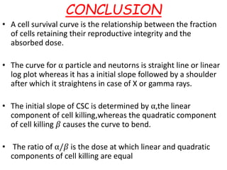 CONCLUSION
• A cell survival curve is the relationship between the fraction
of cells retaining their reproductive integrity and the
absorbed dose.
• The curve for ⍺ particle and neutorns is straight line or linear
log plot whereas it has a initial slope followed by a shoulder
after which it straightens in case of X or gamma rays.
• The initial slope of CSC is determined by ⍺,the linear
component of cell killing,whereas the quadratic component
of cell killing 𝛽 causes the curve to bend.
• The ratio of ⍺/𝛽 is the dose at which linear and quadratic
components of cell killing are equal
 