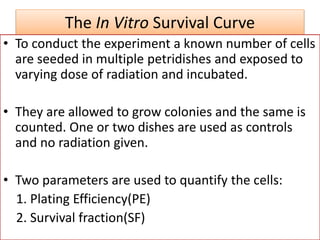 The In Vitro Survival Curve
• To conduct the experiment a known number of cells
are seeded in multiple petridishes and exposed to
varying dose of radiation and incubated.
• They are allowed to grow colonies and the same is
counted. One or two dishes are used as controls
and no radiation given.
• Two parameters are used to quantify the cells:
1. Plating Efficiency(PE)
2. Survival fraction(SF)
 