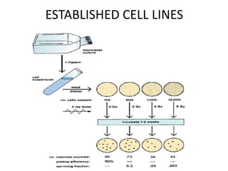 Cell survival curves- Radiobiology | PPTX