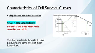 Cell Survival Curves by Dr.Abhilash.pptx