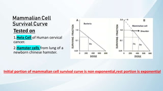 Cell Survival Curves by Dr.Abhilash.pptx
