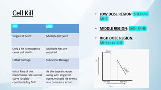 Kill A Cell Cell Survival Curves by Dr.Abhilash.pptx