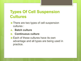 Types Of Cell Suspension
Cultures
 There are two types of cell suspension
cultures :
A. Batch culture
B. Continuous culture
 Each of these cultures have its own
advantage and all types are being used in
practice.
 