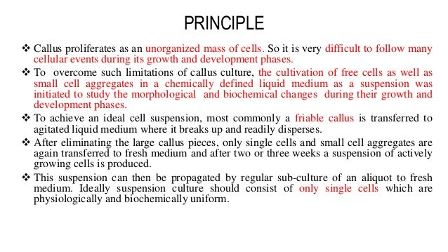 Cell Suspension Culture