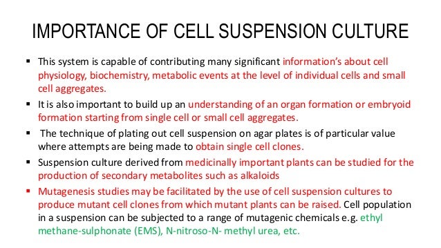 Cell Suspension Culture