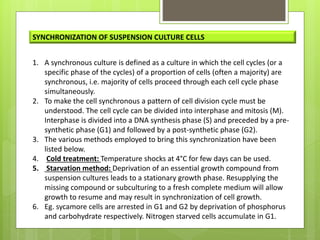 Synchronous Cell Divisions CELL SUSPENSION CULTURE AND SECONDARY METABOLITES.pptx