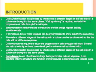Cell Synchronization Notes | [7] Cell synchronization – RYSE