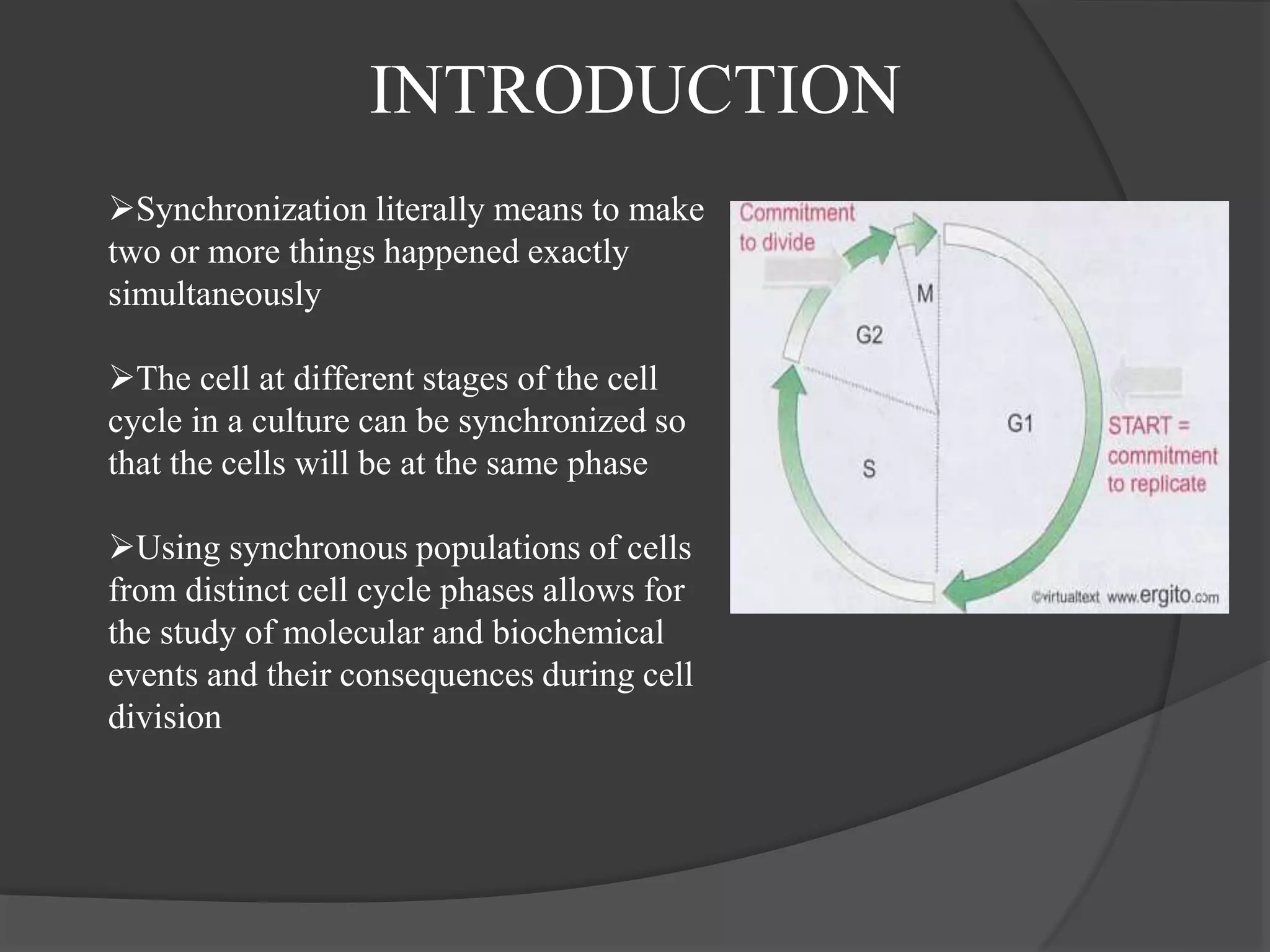 Cell synchronization, animal cell culture Biology Diagrams