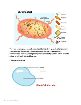 CELL THE BASIC UNIT OF LIFE(Biology).pdf