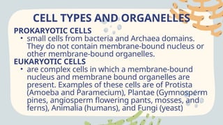 CELL TYPES AND ORGANELLES
PROKARYOTIC CELLS
• small cells from bacteria and Archaea domains.
They do not contain membrane-bound nucleus or
other membrane-bound organelles.
EUKARYOTIC CELLS
• are complex cells in which a membrane-bound
nucleus and membrane bound organelles are
present. Examples of these cells are of Protista
(Amoeba and Paramecium), Plantae (Gymnosperm
pines, angiosperm flowering pants, mosses, and
ferns), Animalia (humans), and Fungi (yeast)
 