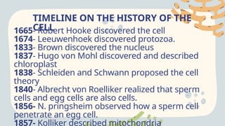 TIMELINE ON THE HISTORY OF THE
CELL
1665- Robert Hooke discovered the cell
1674- Leeuwenhoek discovered protozoa.
1833- Brown discovered the nucleus
1837- Hugo von Mohl discovered and described
chloroplast
1838- Schleiden and Schwann proposed the cell
theory
1840- Albrecht von Roelliker realized that sperm
cells and egg cells are also cells.
1856- N. pringsheim observed how a sperm cell
penetrate an egg cell.
1857- Kolliker described mitochondria
 