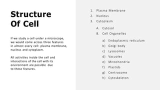 Structure
Of Cell
If we study a cell under a microscope,
we would come across three features
in almost every cell: plasma membrane,
nucleus and cytoplasm.
All activities inside the cell and
interactions of the cell with its
environment are possible due
to these features.
1. Plasma Membrane
2. Nucleus
3. Cytoplasm
A. Cytosol
B. Cell Organelles
a) Endoplasmic reticulum
b) Golgi body
c) Lysosomes
d) Vacuoles
e) Mitochondria
f) Plastids
g) Centrosome
h) Cytoskeleton
 
