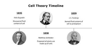 1835
Felix Dujardin
Discovered fluid
content of cell
1838
Matthias Schleiden
Proposed all plants are
made up of cells
1839
J. E. Purkinje
Named fluid content of
cell as protoplasm
Cell Theory Timeline
 