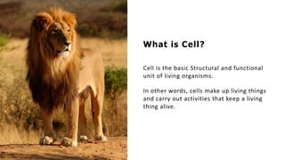 What is Cell?
Cell is the basic Structural and functional
unit of living organisms.
In other words, cells make up living things
and carry out activities that keep a living
thing alive.
 