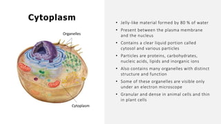 • Jelly-like material formed by 80 % of water
• Present between the plasma membrane
and the nucleus
• Contains a clear liquid portion called
cytosol and various particles
• Particles are proteins, carbohydrates,
nucleic acids, lipids and inorganic ions
• Also contains many organelles with distinct
structure and function
• Some of these organelles are visible only
under an electron microscope
• Granular and dense in animal cells and thin
in plant cells
Cytoplasm
Organelles
Cytoplasm
 