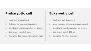 1. Nucleus is undeveloped
2. Only one chromosome is present
3. Membrane bound organelles are absent
4. Size ranges from 0.5-5 µm
5. Examples: Bacteria and blue green algae
1. Nucleus is well developed
2. More than one chromosomes are present
3. Membrane bound organelles are present
4. Size ranges from 5-100 µm
5. Examples: All other organisms
Prokaryotic cell Eukaryotic cell
 