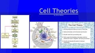 Cell Theories 
by Alina Abbass 
 