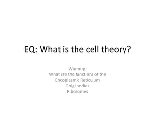 EQ: What is the cell theory? Warmup: What are the functions of the Endoplasmic Reticulum Golgi bodies Ribosomes 