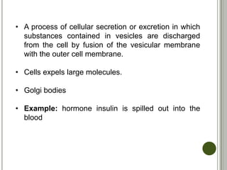 Cell Theory | PPTX
