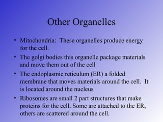 Cell theory | PPT