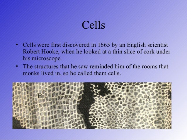 Cell Theory