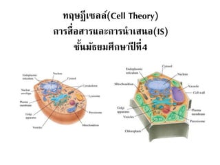 ทฤษฎีเซลล์(Cell Theory)
การสื่อสารและการนาเสนอ(IS)
ชั้นมัธยมศึกษาปี ที่4
 