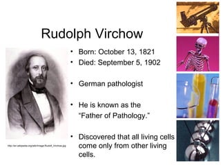 Rudolph Virchow
• Born: October 13, 1821
• Died: September 5, 1902
• German pathologist
• He is known as the
“Father of Pathology.”
• Discovered that all living cells
come only from other living
cells.
http://en.wikipedia.org/wiki/Image:Rudolf_Virchow.jpg
 