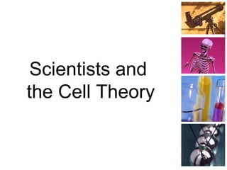 Scientists and
the Cell Theory
 