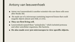 Antony van leeuwenhoek
■ Anton van Leeuwenhoek is another scientist who saw these cells soon
after Hooke did.
■ He made use of a microscope containing improved lenses that could
magnify objects almost 300-fold, or 270x.
■ They see first living cell.
■ Leeuwenhoek named these “animalcules,” which included protozoa
and other unicellular organisms, like bacteria.
■ He also made over 500 microscopes to view specific objects.
 
