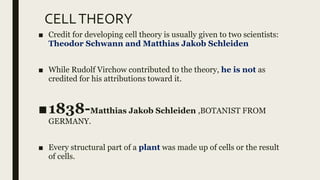 CELLTHEORY
■ Credit for developing cell theory is usually given to two scientists:
Theodor Schwann and Matthias Jakob Schleiden
■ While Rudolf Virchow contributed to the theory, he is not as
credited for his attributions toward it.
■1838-Matthias Jakob Schleiden ,BOTANIST FROM
GERMANY.
■ Every structural part of a plant was made up of cells or the result
of cells.
 