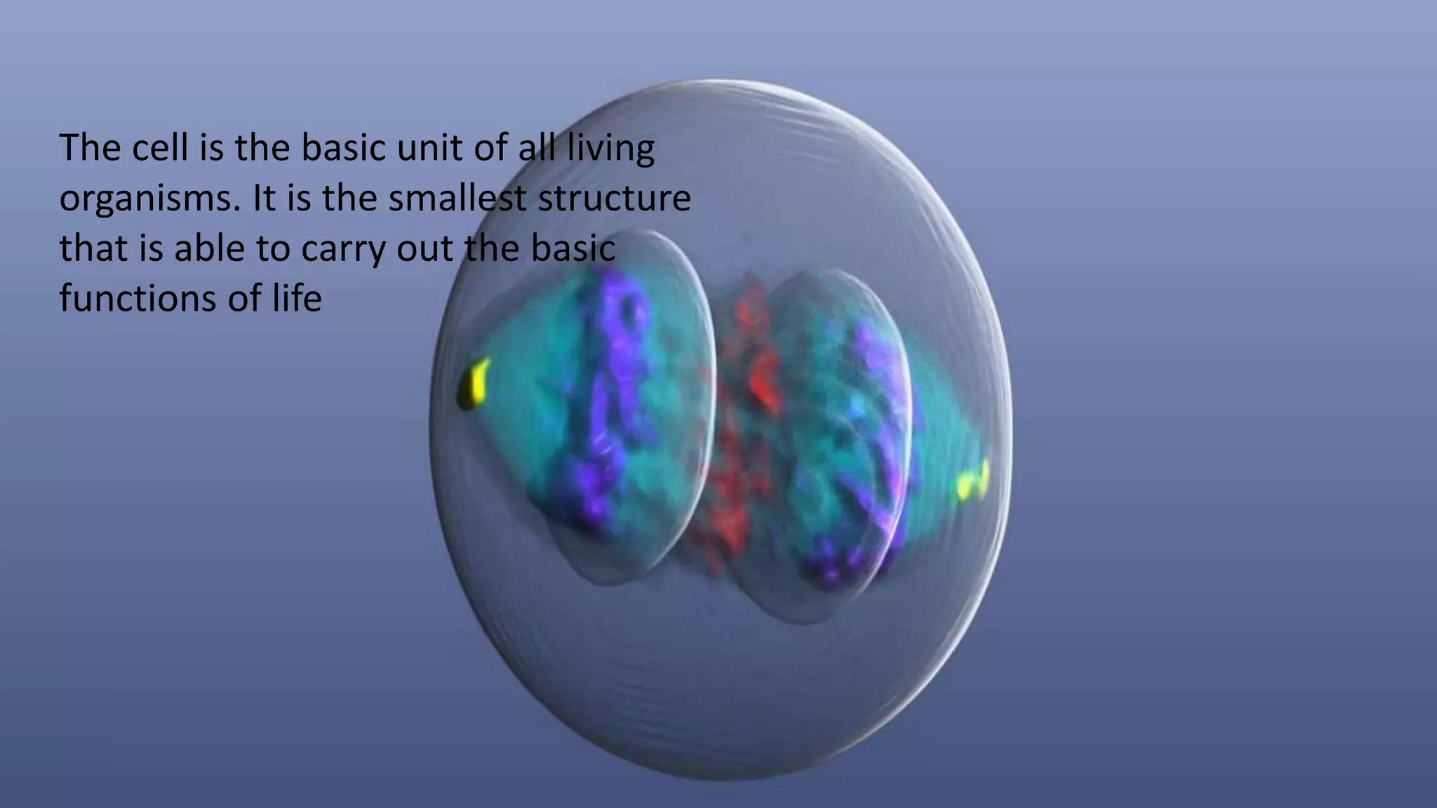 The cell is the basic unit of all living
organisms. It is the smallest structure
that is able to carry out the basic
functions of life