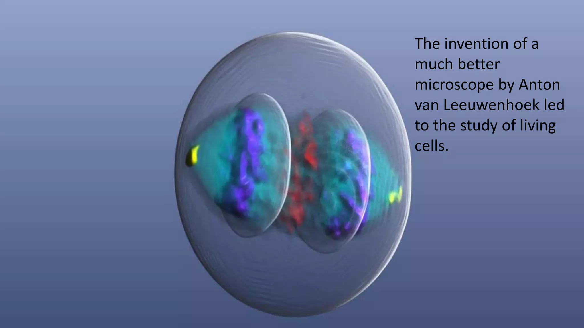 The invention of a
much better
microscope by Anton
van Leeuwenhoek led
to the study of living
cells.