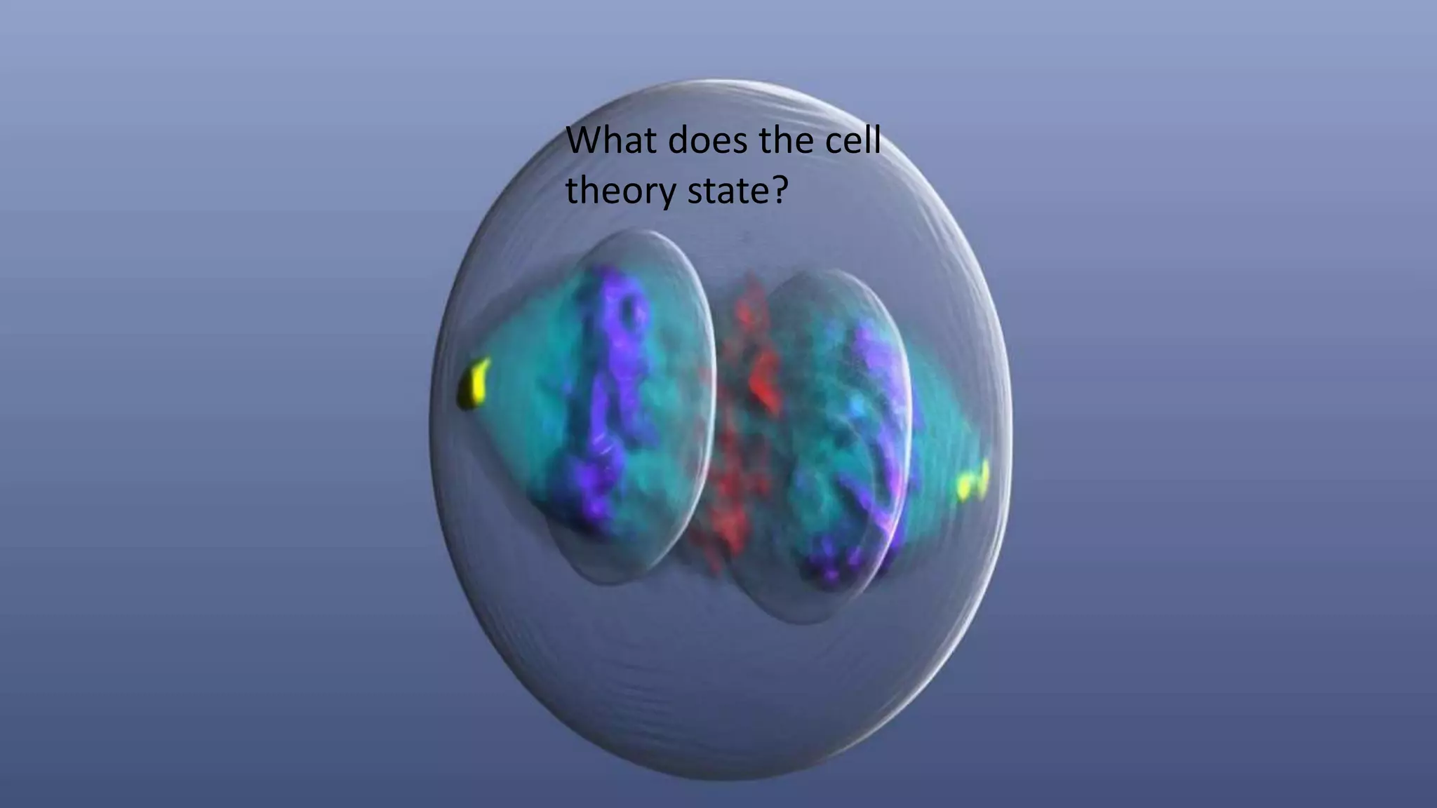 What does the cell
theory state?
