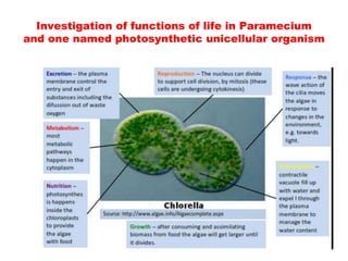 Investigation of functions of life in Paramecium
and one named photosynthetic unicellular organism
 