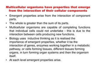 Multicellular organisms have properties that emerge
from the interaction of their cellular components
• Emergent properties arise from the interaction of component
parts.
• The whole is greater than the sum of its parts.
• Multicellular organisms are capable of completing functions
that individual cells could not undertake - this is due to the
interaction between cells producing new functions.
• Biology uses inductive thinking as it is realised the
importance of emergent properties, whether it be the
interaction of genes, enzymes working together in a metabolic
pathway, or cells forming tissues, different tissues forming
organs, in turn forming organ systems and then the organism
itself.
• At each level emergent properties arise.
 